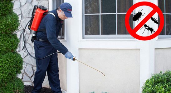 Sivaslı Tahtakurusu İlaçlama böcek ilaçlama ve haşere kontrolü — ilaclama-tr.com